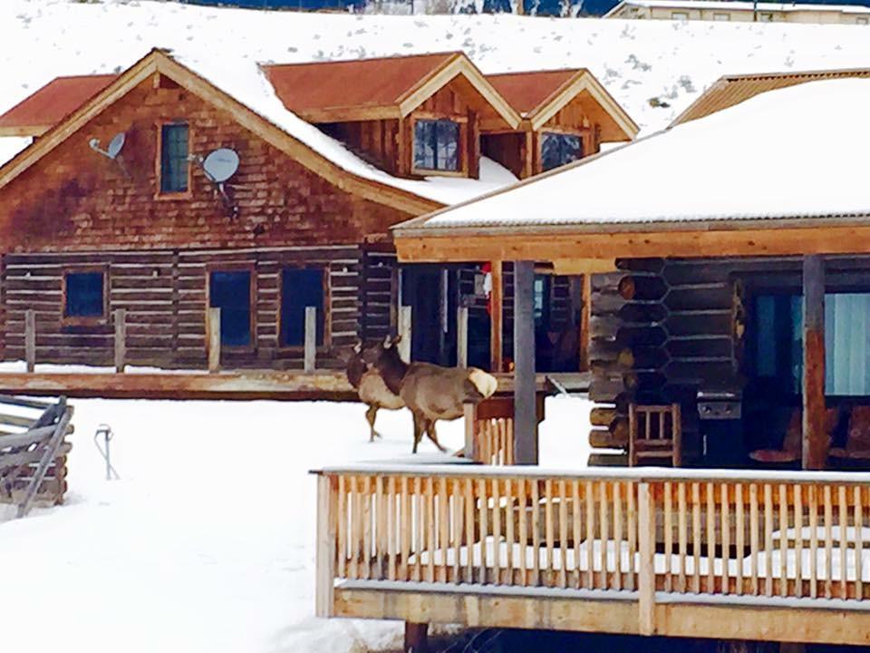 Creek Cabin Gardiner Luaran gambar
